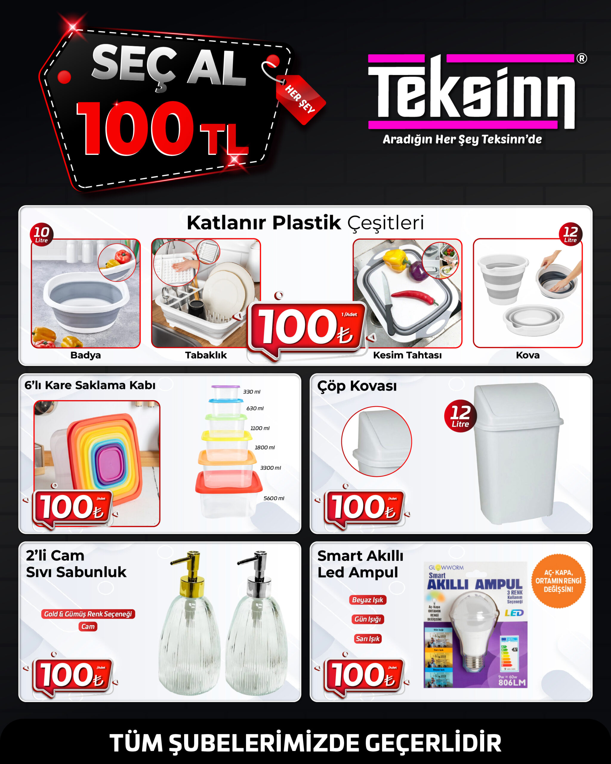 Ne Alırsan 100 TL (10) Export (1)